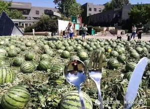 天津美院吃瓜爆料视频,校园风云再起  第3张